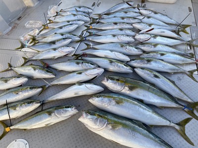 ミタチ丸 釣果