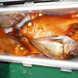 第二むつ漁丸 釣果