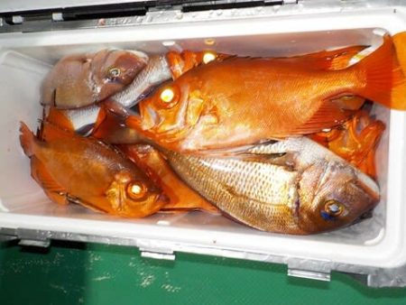 第二むつ漁丸 釣果