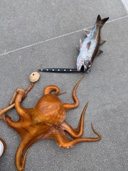 へいみつ丸 釣果