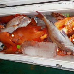 第二むつ漁丸 釣果