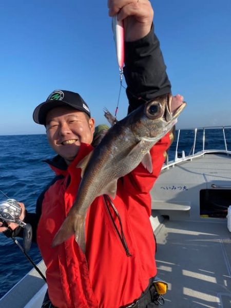 へいみつ丸 釣果