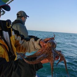 たかみ丸 釣果