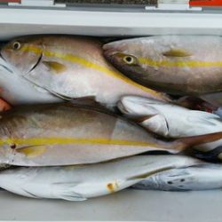 第五慶門丸 釣果