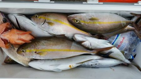 第五慶門丸 釣果