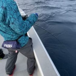 へいみつ丸 釣果