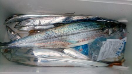 弘福丸 釣果