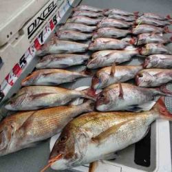 遊漁船 セトマリン 釣果