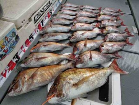 遊漁船 セトマリン 釣果