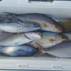 第五慶門丸 釣果