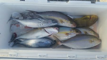 第五慶門丸 釣果