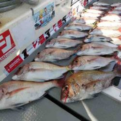 遊漁船 セトマリン 釣果