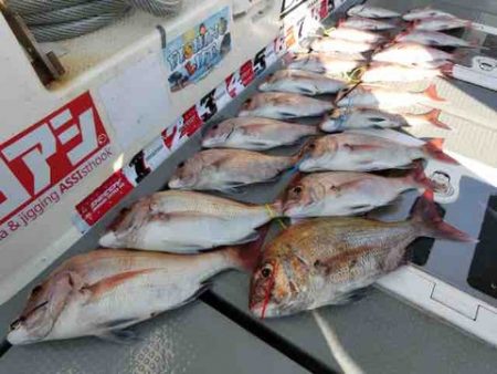 遊漁船 セトマリン 釣果