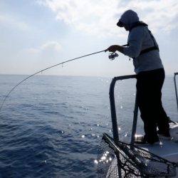 開進丸 釣果