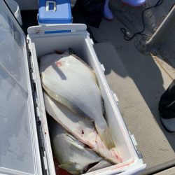 第八大安丸 釣果