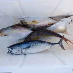 開進丸 釣果