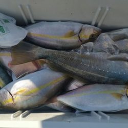 第五慶門丸 釣果