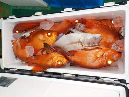 第二むつ漁丸 釣果