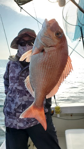 遊漁船　ニライカナイ 釣果