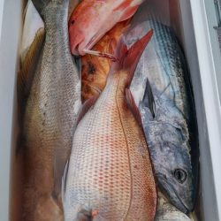 遊漁船 新鋭丸 釣果