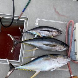 へいみつ丸 釣果