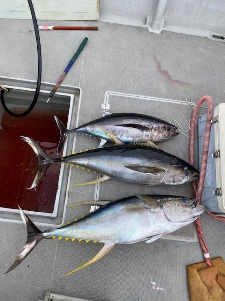 へいみつ丸 釣果