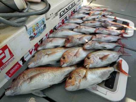 遊漁船 セトマリン 釣果