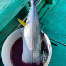 広進丸 釣果