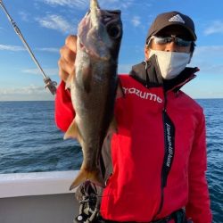 へいみつ丸 釣果