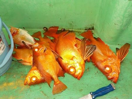 第二むつ漁丸 釣果