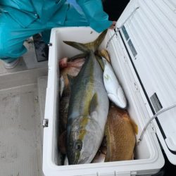 第八大安丸 釣果