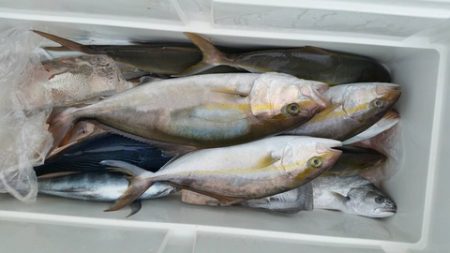 第五慶門丸 釣果