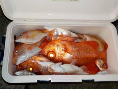 第二むつ漁丸 釣果