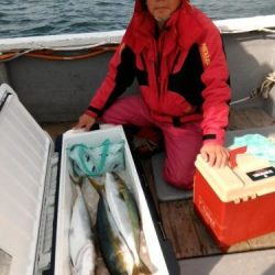 ファイヤードルフィン 釣果