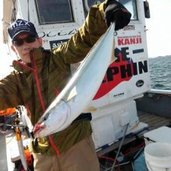 ファイヤードルフィン 釣果