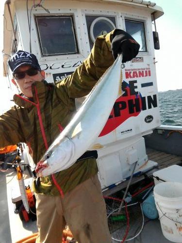 ファイヤードルフィン 釣果