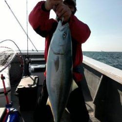 ファイヤードルフィン 釣果