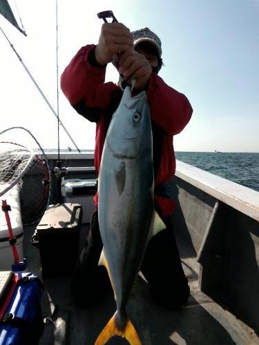 ファイヤードルフィン 釣果