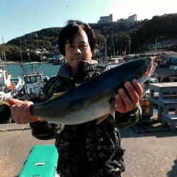 ファイヤードルフィン 釣果