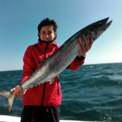 ファイヤードルフィン 釣果