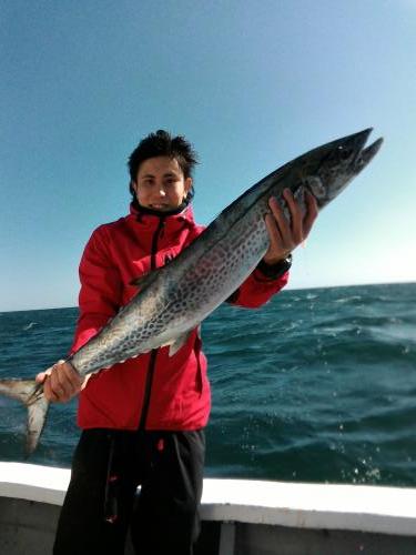 ファイヤードルフィン 釣果