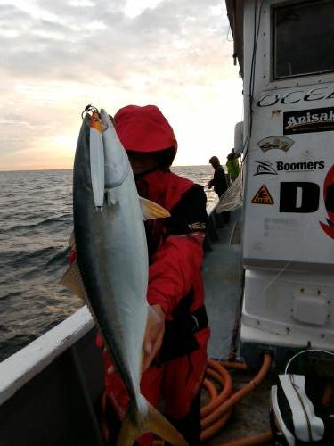 ファイヤードルフィン 釣果