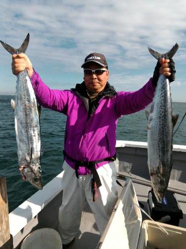 ファイヤードルフィン 釣果