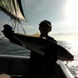 ファイヤードルフィン 釣果