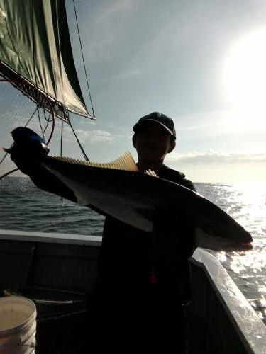 ファイヤードルフィン 釣果