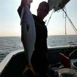 ファイヤードルフィン 釣果