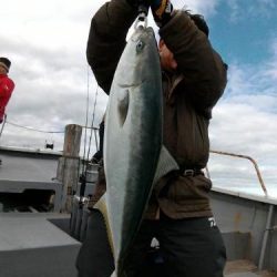 ファイヤードルフィン 釣果