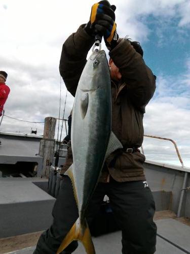 ファイヤードルフィン 釣果