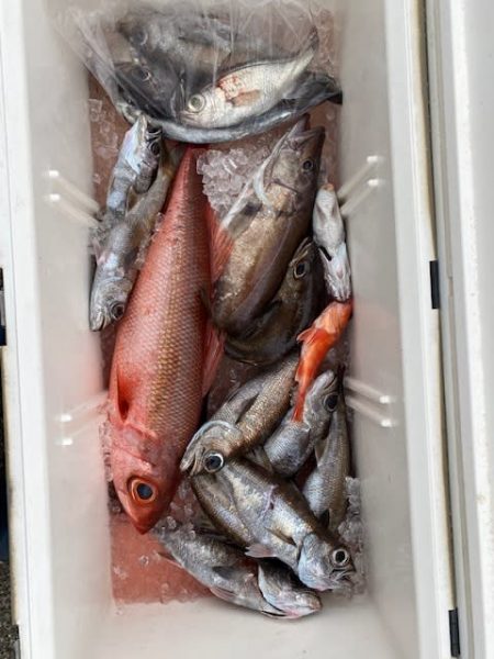 へいみつ丸 釣果