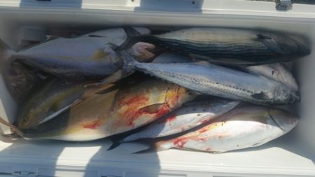 第五慶門丸 釣果